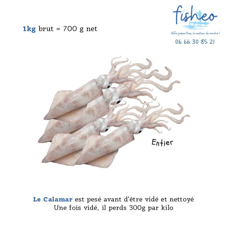Calamar Entier (1kg)
