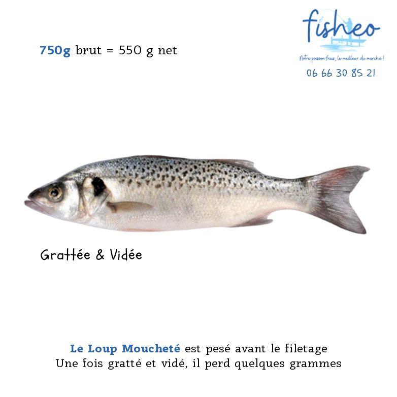 Loup Moucheté gratté et vidé (750g)