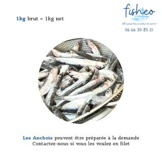 Anchois Fraîches