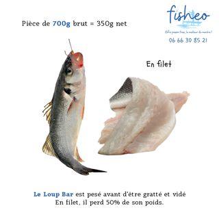 Filet de Loup Bar (700g)
