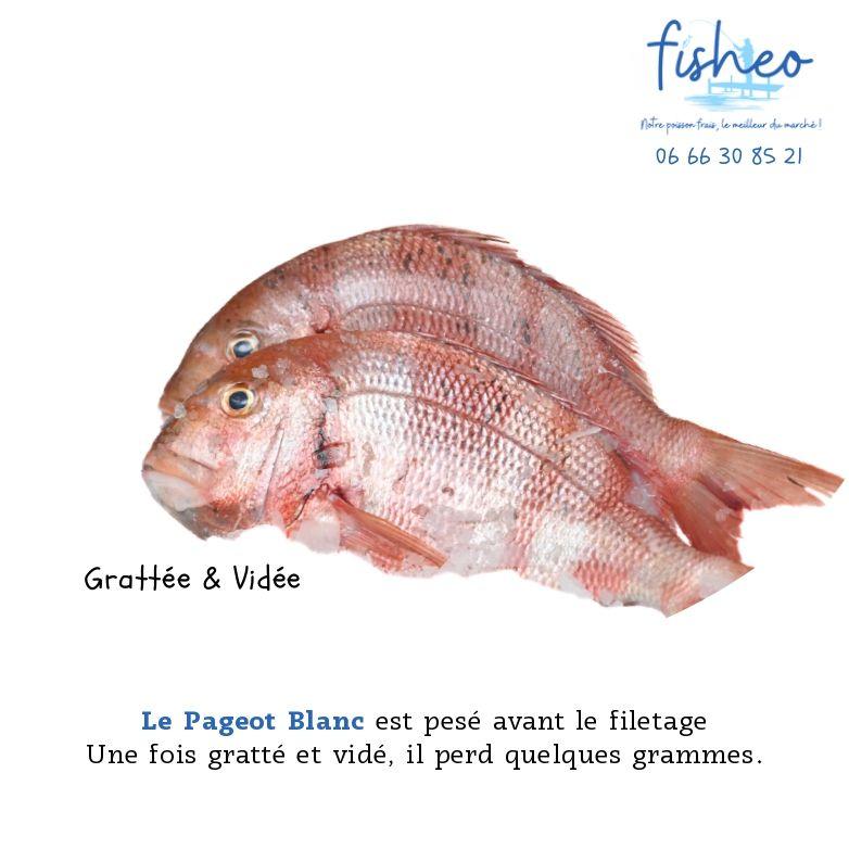 Pageot gratté et vidé (+1kg)