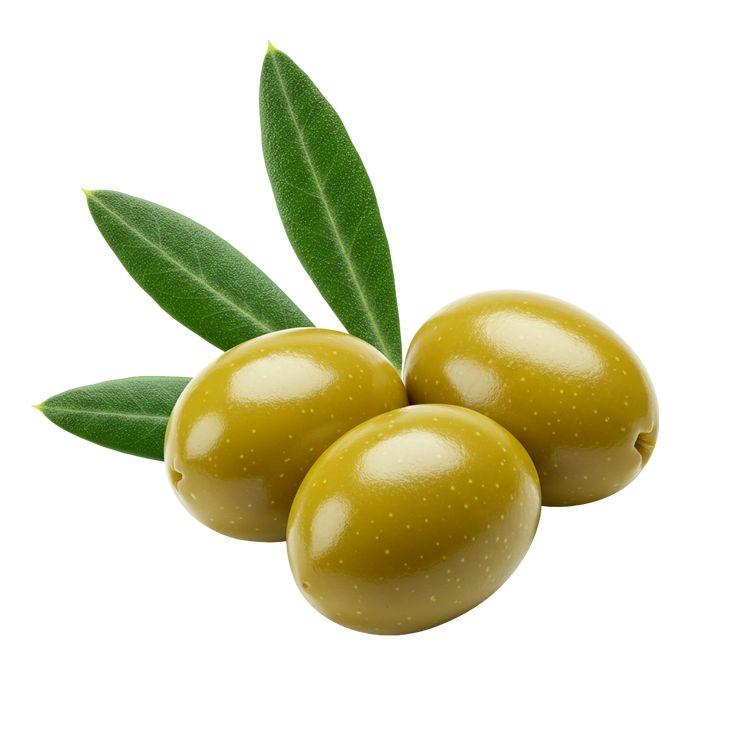 Olive Verte