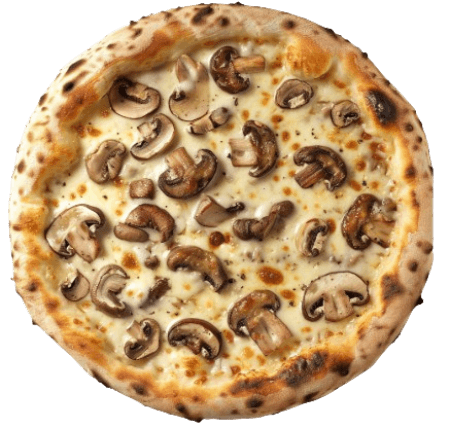 Funghi
