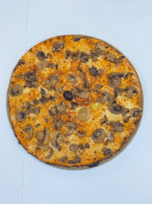 Mushroom Pizza
