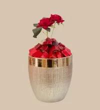 Coupe saveur