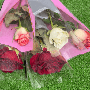 5 fleurs individuelles avec emballage