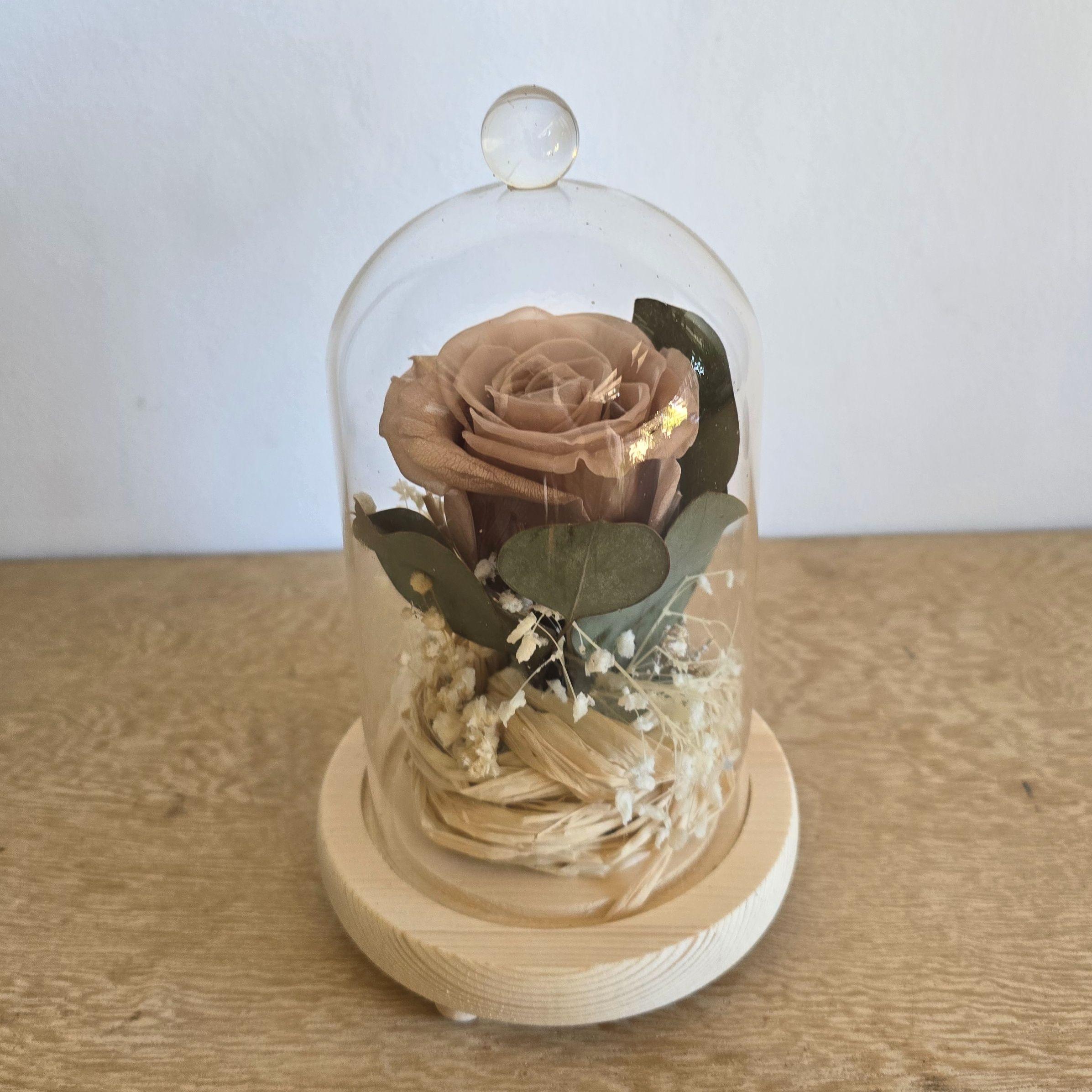 Cloche mini rose alliance