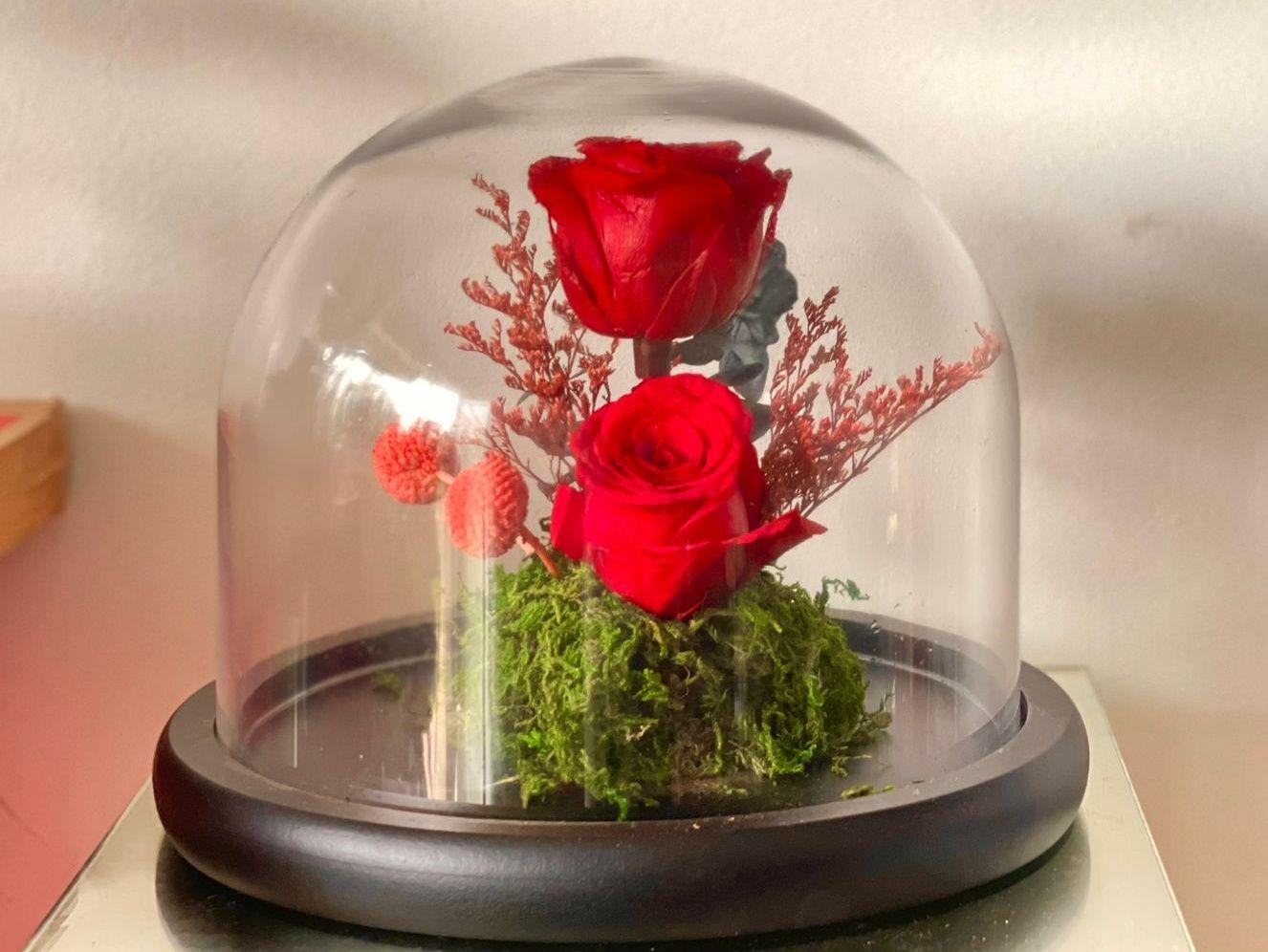 Cloche de 2 Rose rouge éternelle 20/22 cm