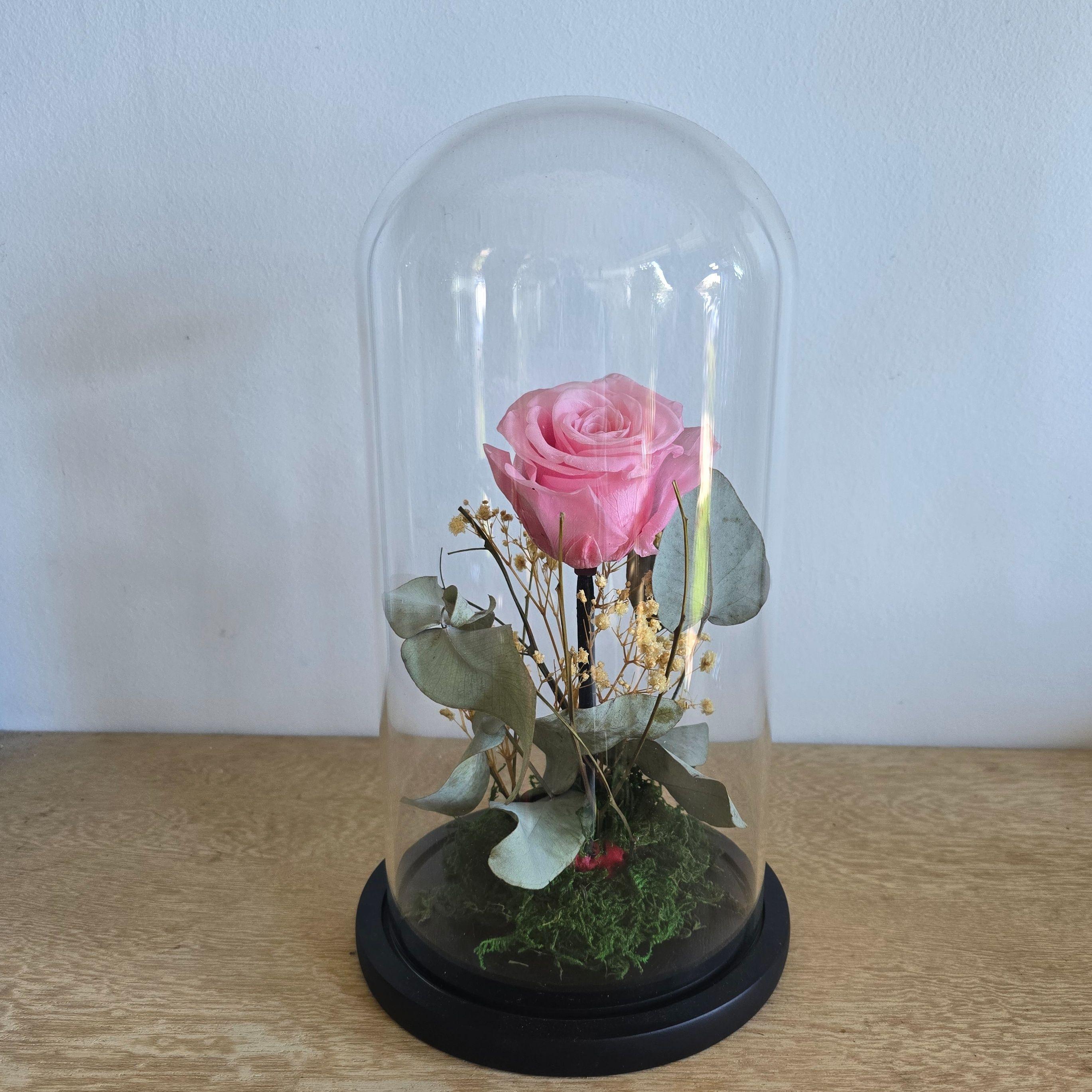 Cloche de 3 roses éternelle coloré 30/15 cm