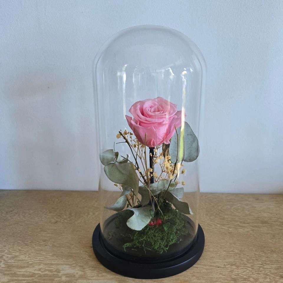 Cloche de 3 roses éternelle coloré 30/15 cm
