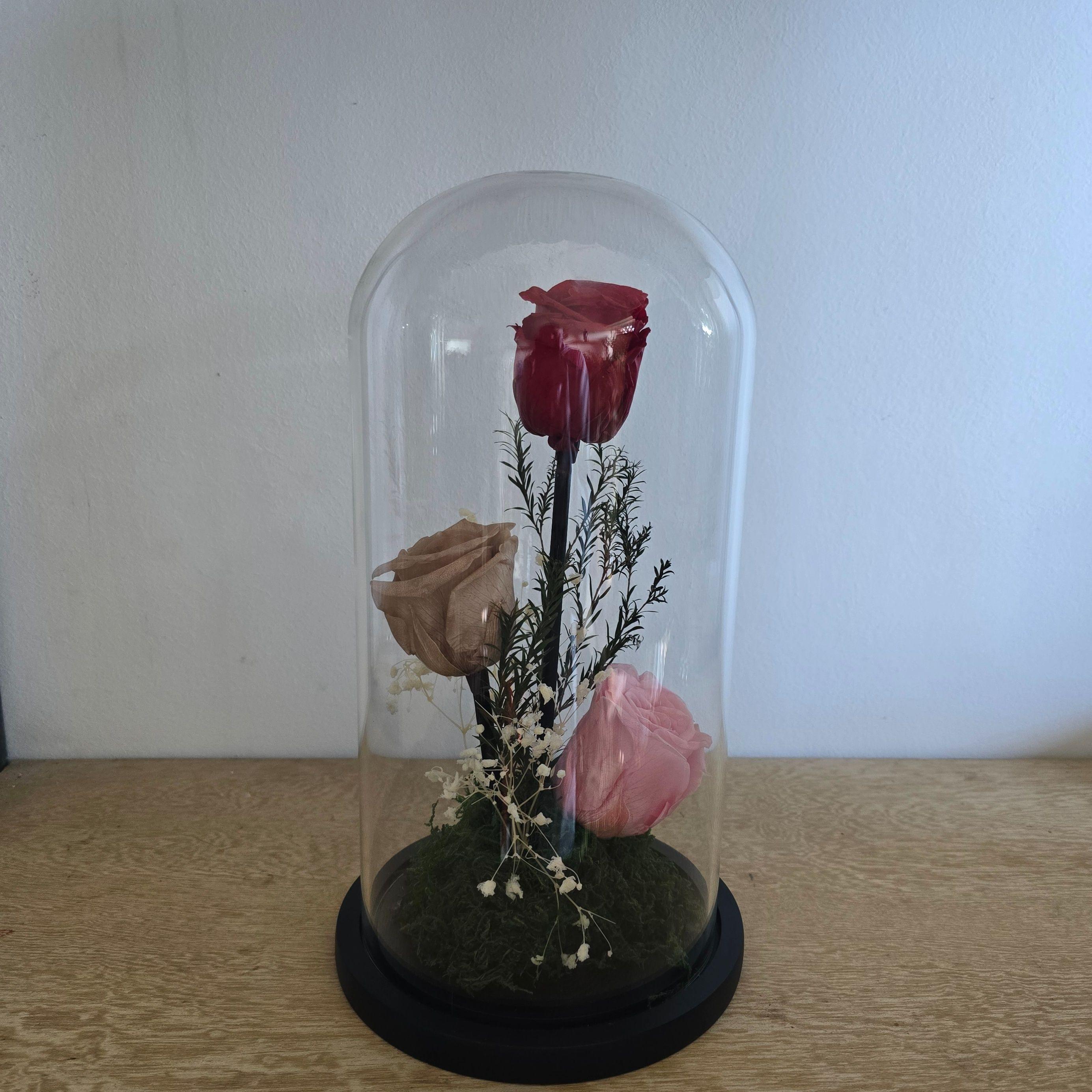 Cloche de 3 roses éternelle coloré 30/15 cm 2
