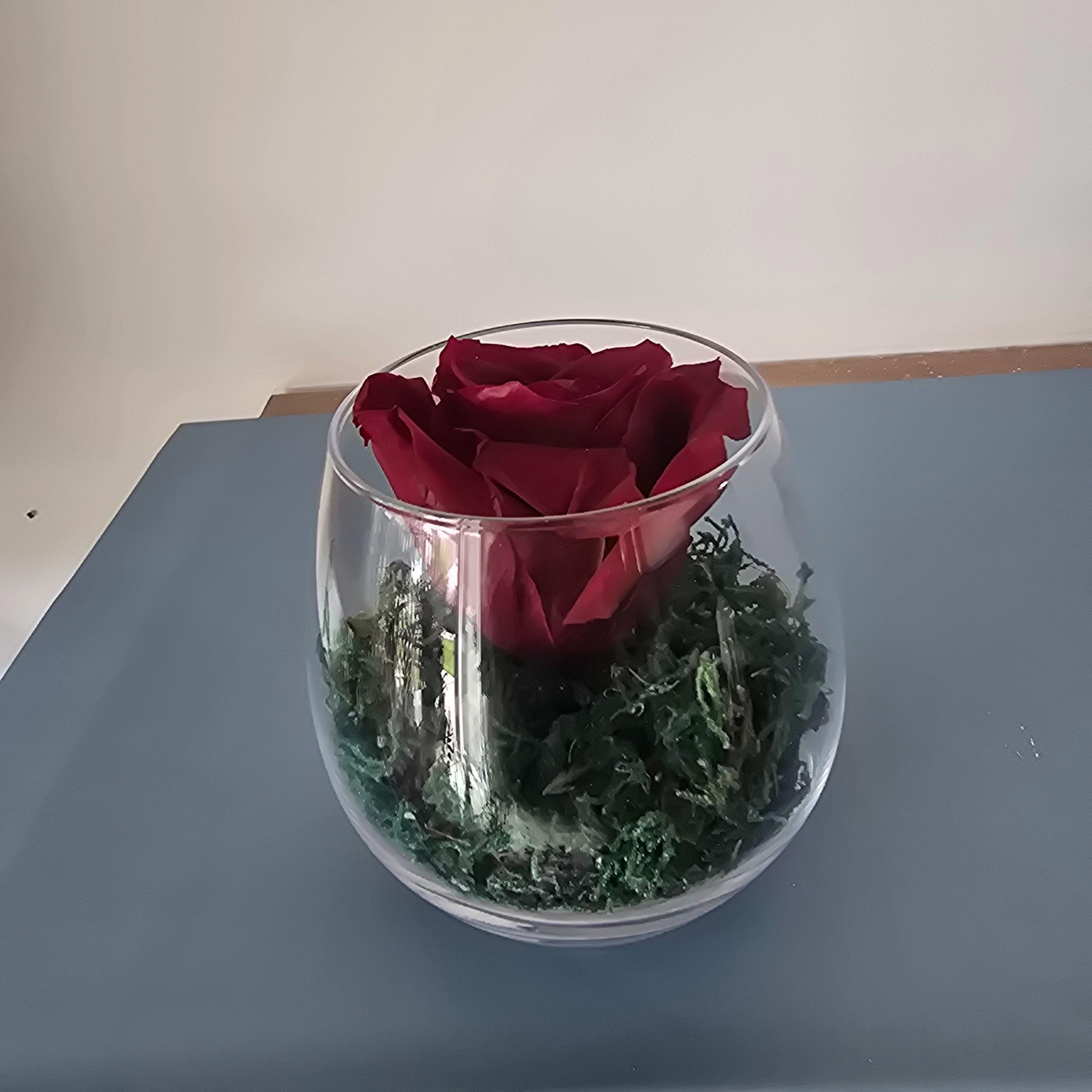 Rose rouge éternelle 2