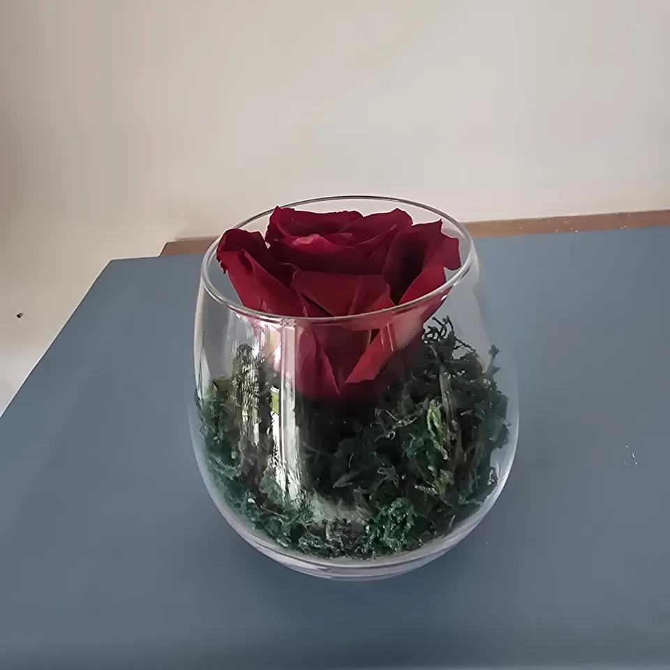 Rose rouge éternelle 2