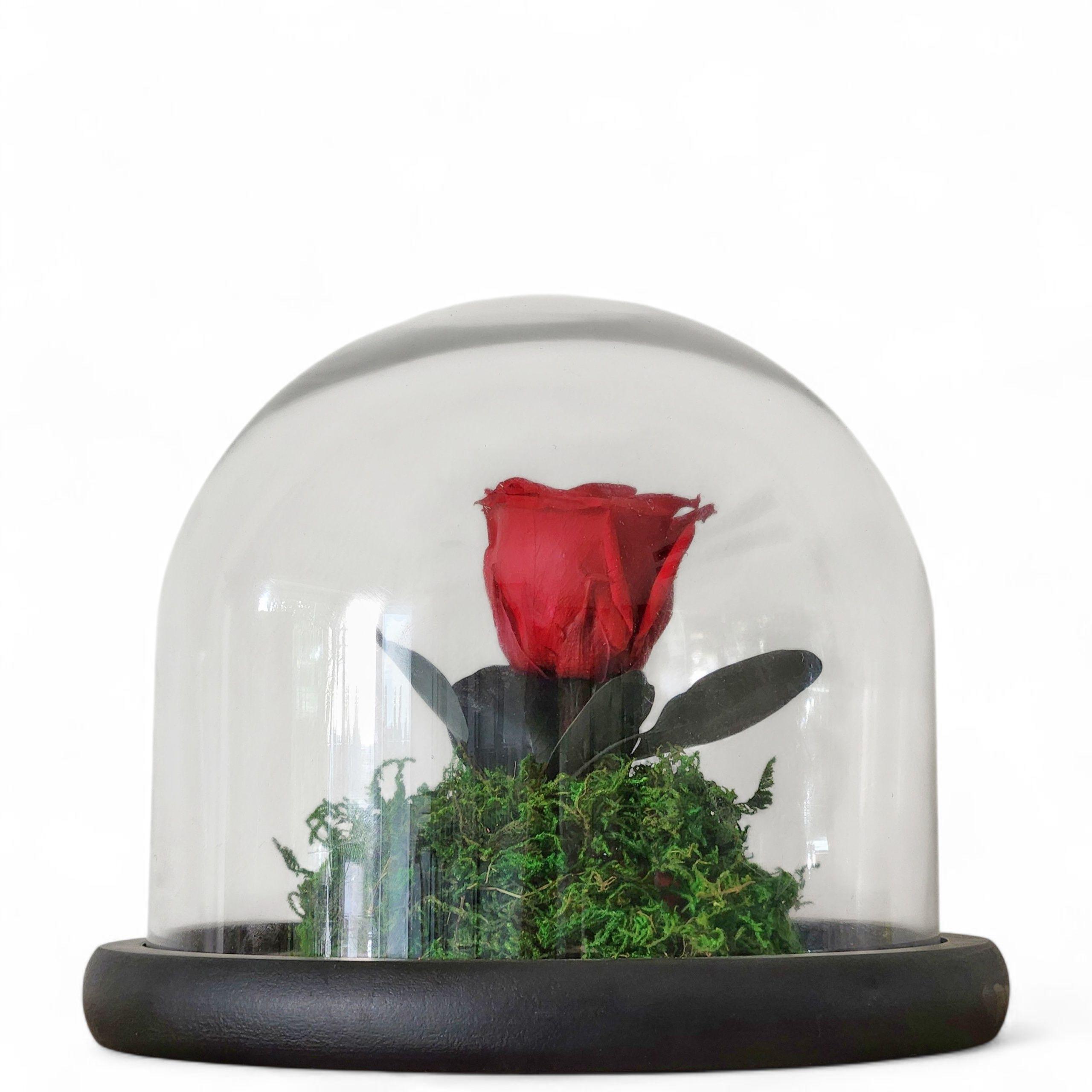 Cloche rose rouge éternelle 20/22