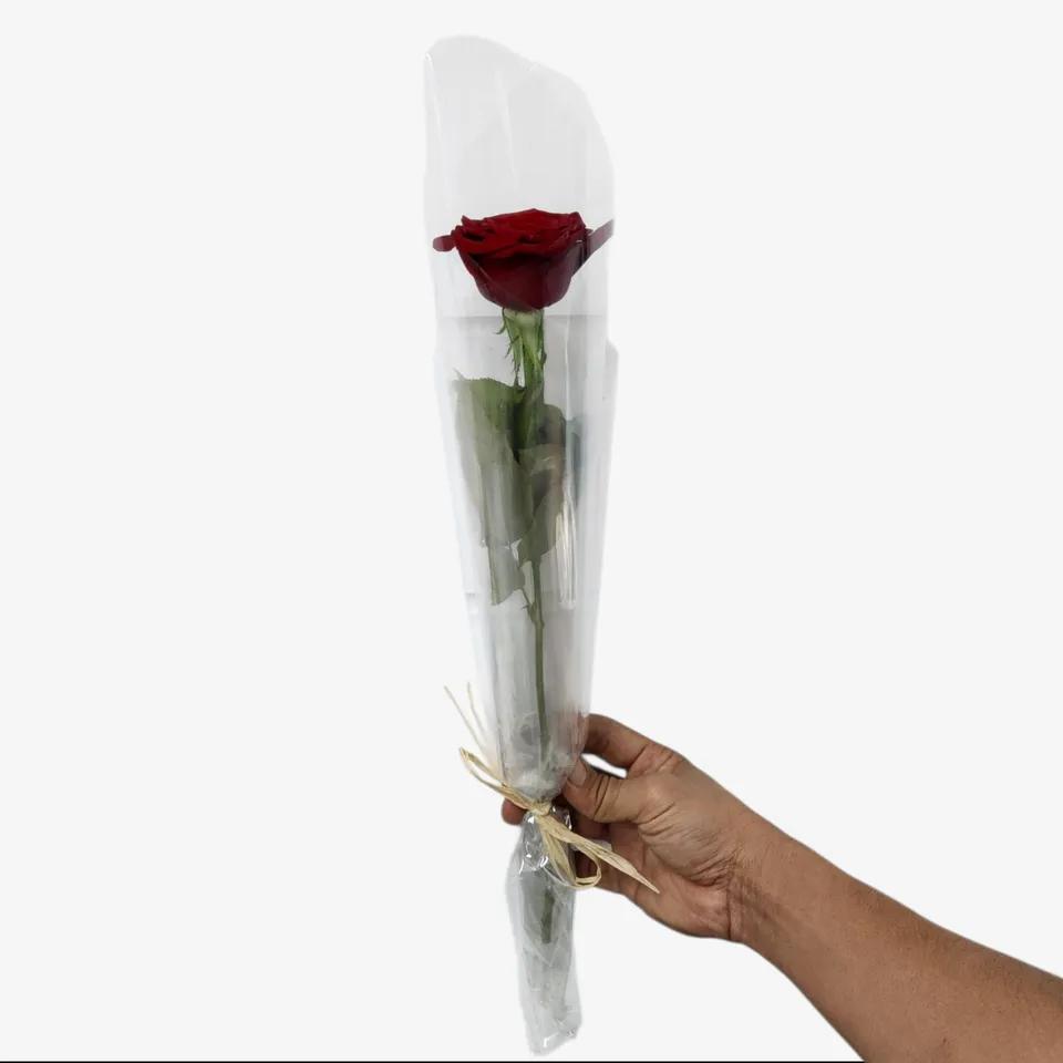 Rose rouge