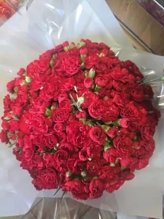 Bouquet D'œillets Mini Rouge