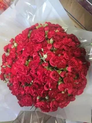 Bouquet D'œillets Mini Rouge