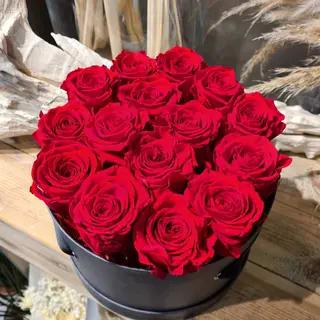 Box Les Rouse Rouge