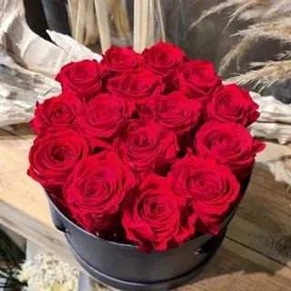 Box Les Rouse Rouge