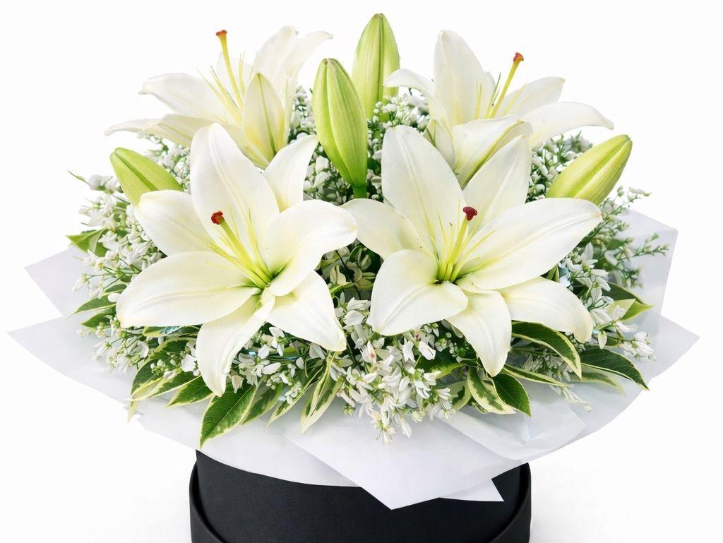 Mini box lilys