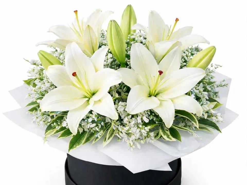 Mini box lilys