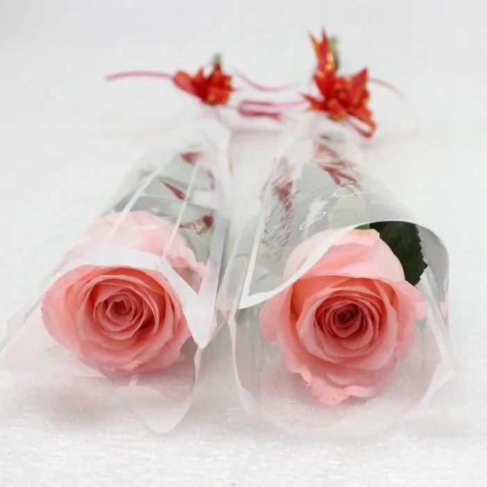 Pink rouse