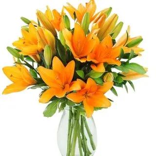 Orange Lilies