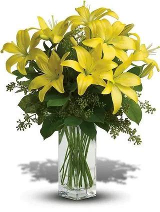 Yellow Lilies