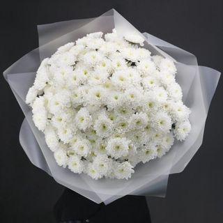 Chrysanthemums Blanche