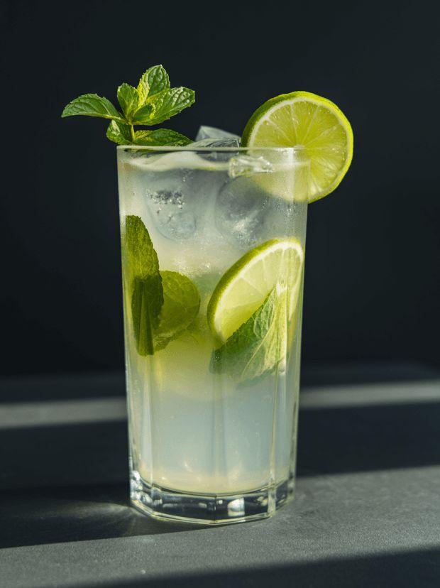 Virgin Mojitox