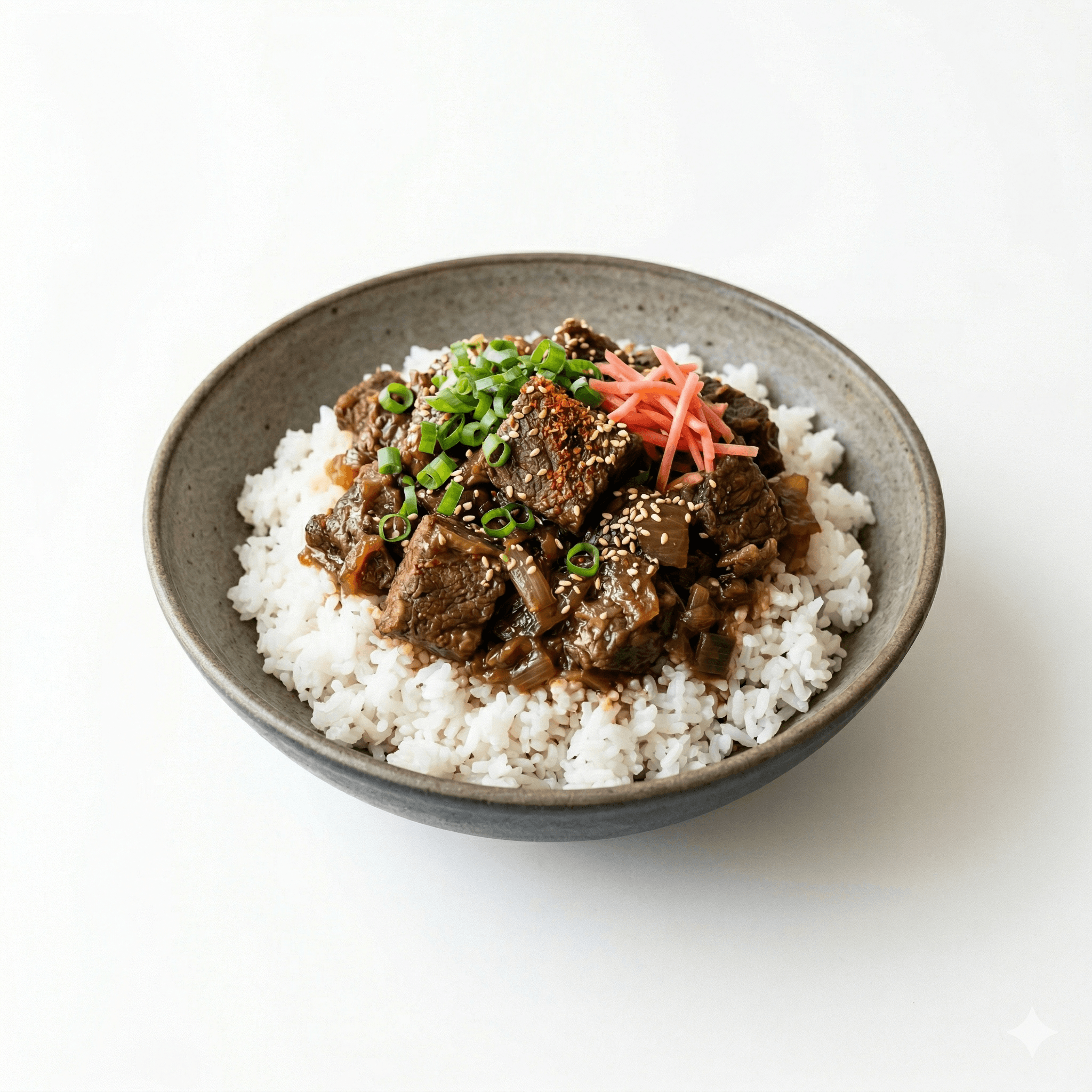 Bowl of rice with braised beef
