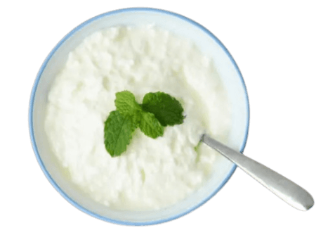 Lait Caillé Vanille