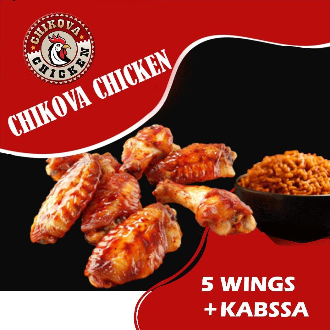 1 Pilon + 2 wings + 2 strips et Rizo