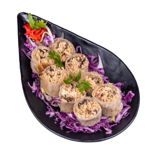 Nems Poulet Gyoza