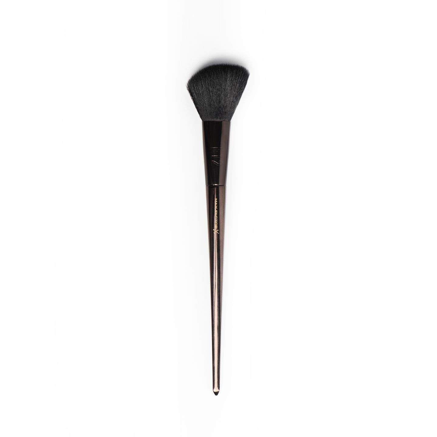 Professional Max Powder Brush Reference Ct-384
