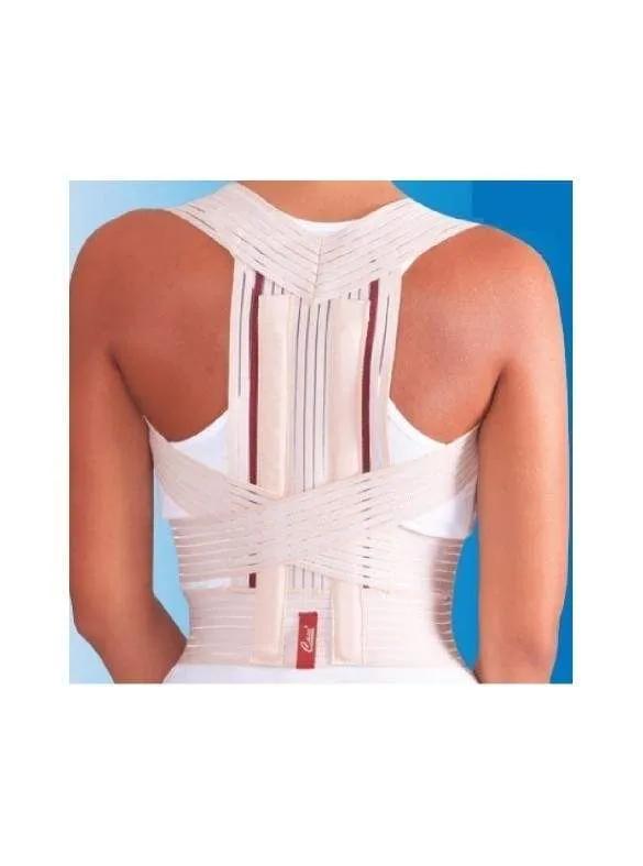Case Redresse Dos Taille Xxl Reference Hb 5247