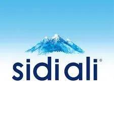 Eau Minérale (Sidi Ali 50Cl)