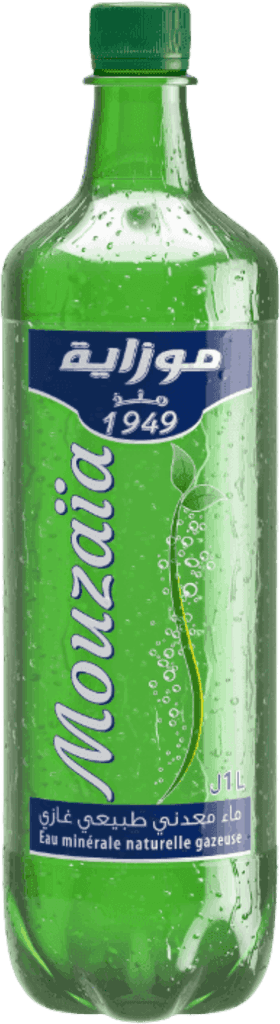 MOUZAIA eau gazéifiée nature 1L