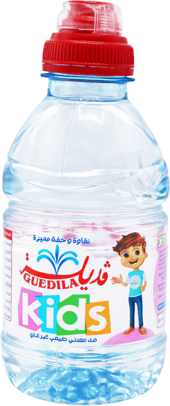 GUEDILA eau minérale sport 33cl