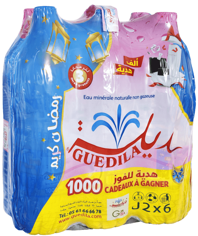 FRD EAU MINERALE GUEDILA 2L