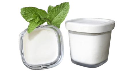 Yaourt Fait Maison Menthe