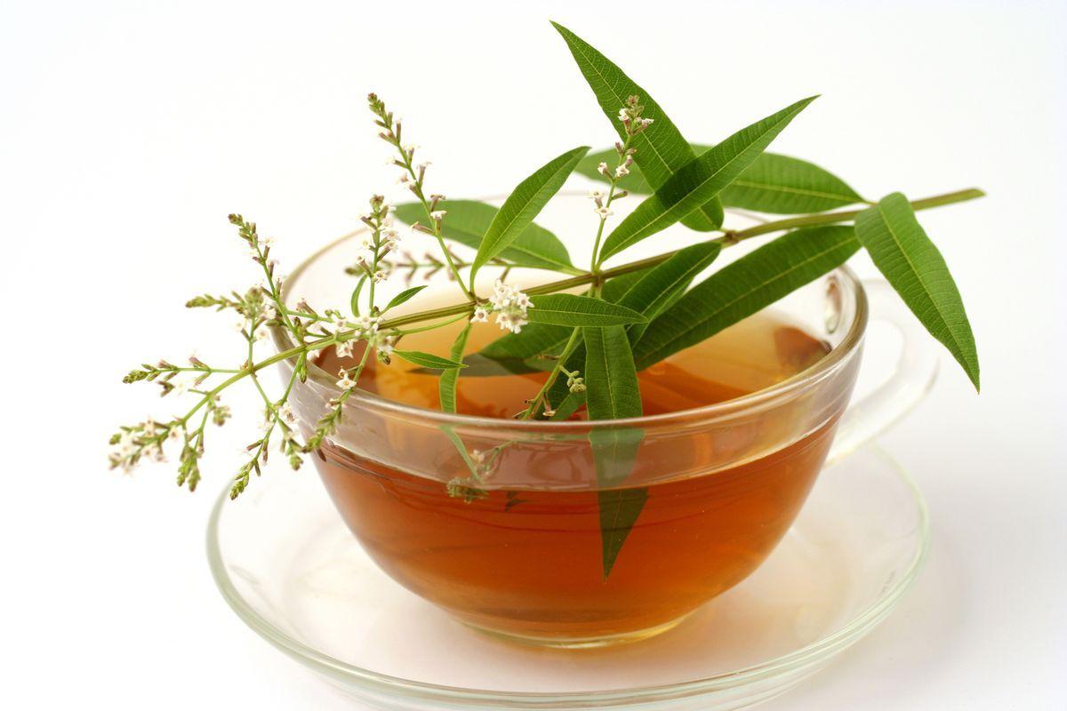 Verveine