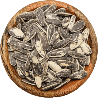 Tournesol Turk 100g