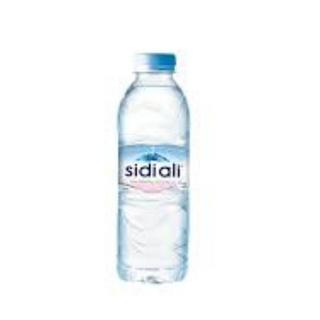 Eau Minerale Sidi Ali 33 Cl