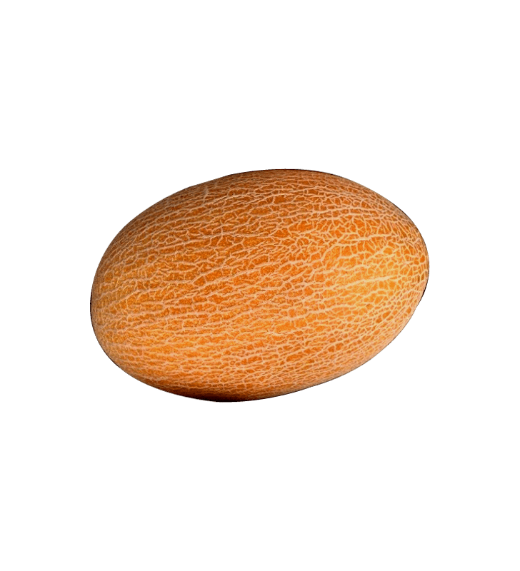 Melon Lobnani