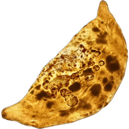 Calzone Junior