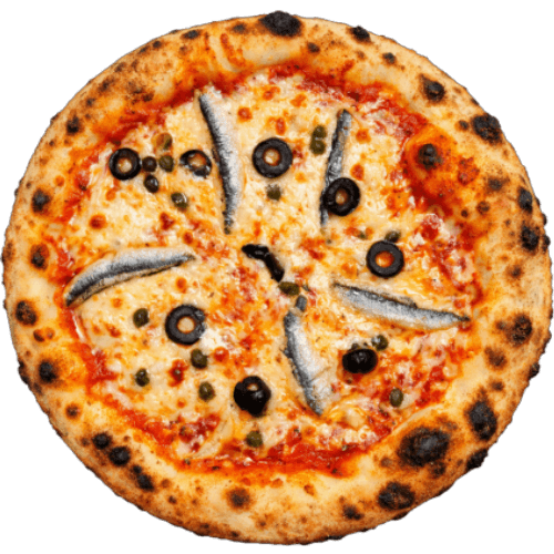 napolitaine Senior