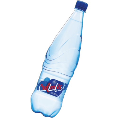 OULMES 1L