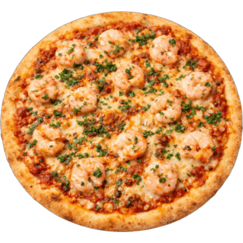 Scampi Junior