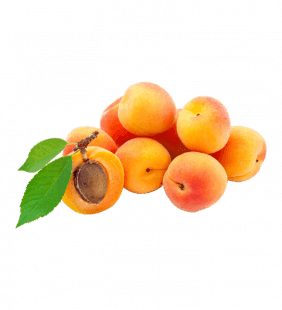 Abricot A